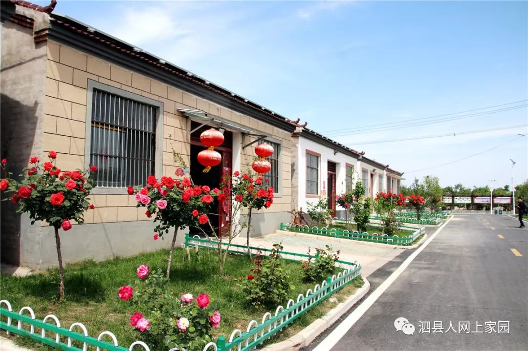 不敢相信自己眼睛泗县美丽乡村惊艳四海