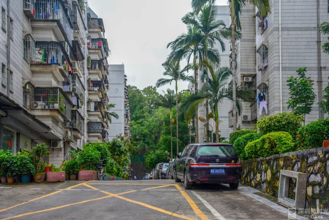 罗湖有个移民村今年60岁了