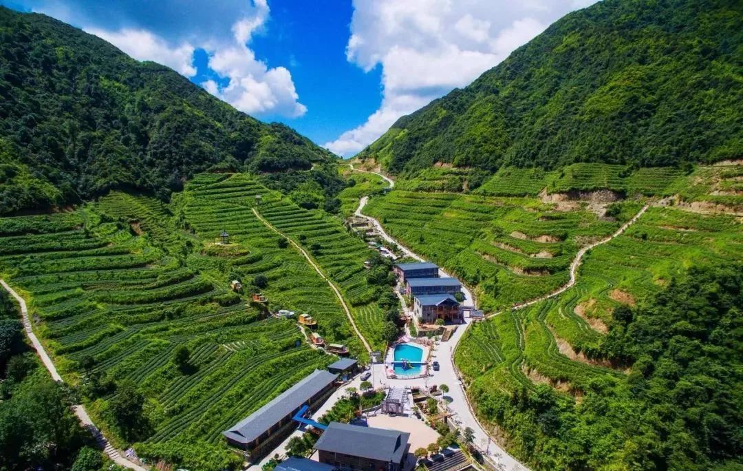 299元连山2日游游皇后山体验茶文化