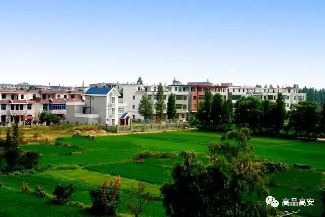 高安最新各乡镇街道成绩单出炉!第一名竟然是._市财政局