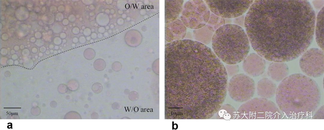 (a)在显微镜下观察w/o(油包水)和o/w(水包油)区域(放大100倍).
