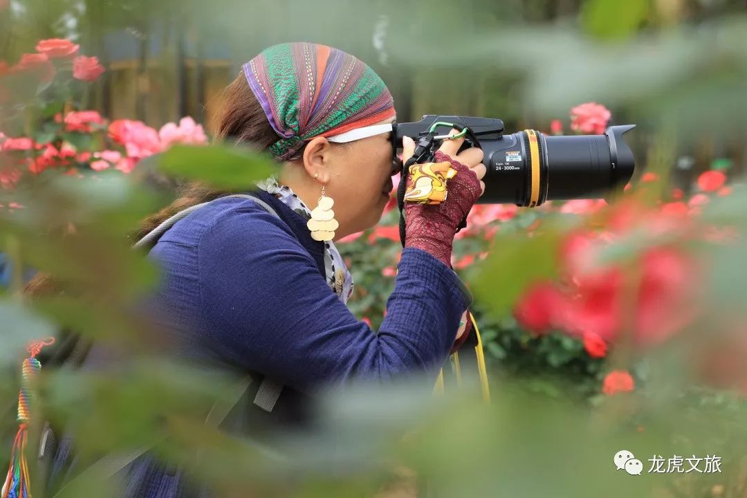 摄影师们长枪短炮,按下快门,记录下了这片"玫"好时光!