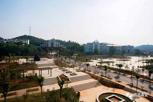 高安最新各乡镇街道成绩单出炉!第一名竟然是._市财政局