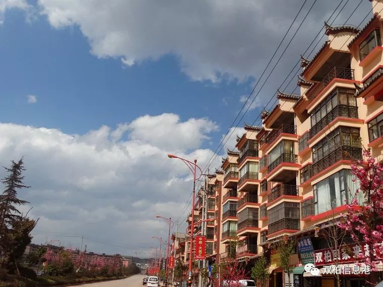 双柏建设洁净宜居特色美丽县城