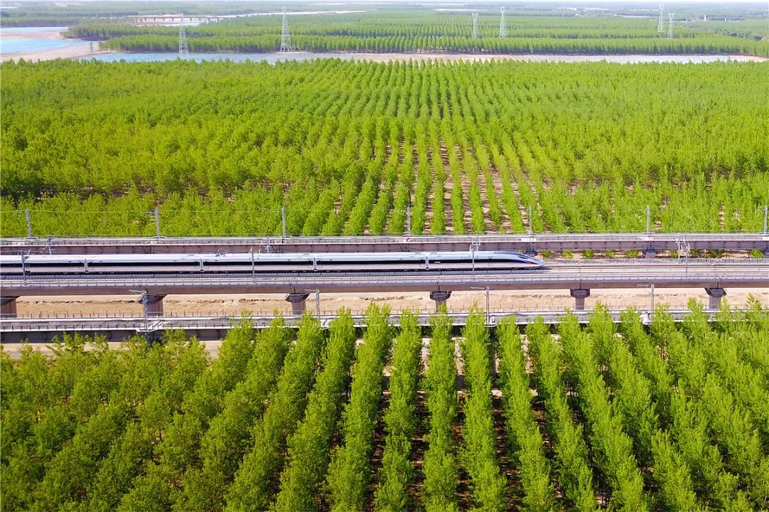 这位摄影大咖,把《中国高铁》开进欧洲摄影节