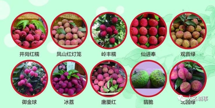 荔枝的种类,荔枝品种_大山谷图库