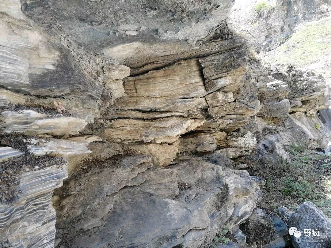 【野疯·徒步】5月26日,涞水羊圈沟-大雨沱-菩萨庙村环穿,喀斯特岩溶