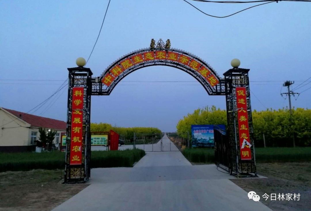 大园区小农户把农村建设得更像新农村林家村镇三区共建共享工作纪实