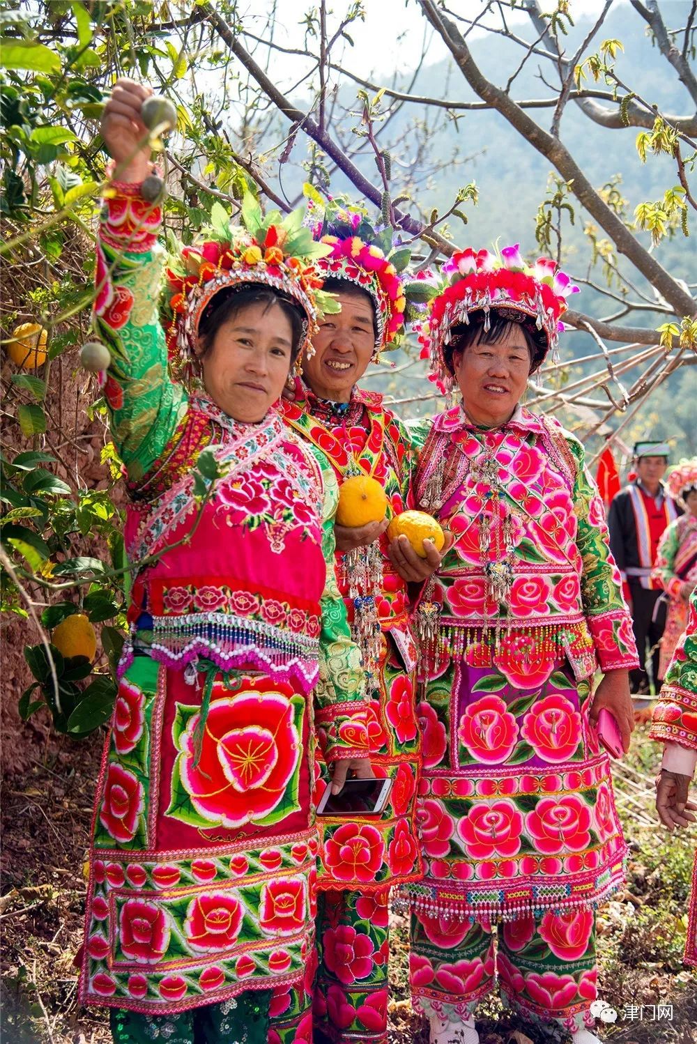 特别关注张新利摄影作品赏析大理巍山县草厂村彝族民俗活动