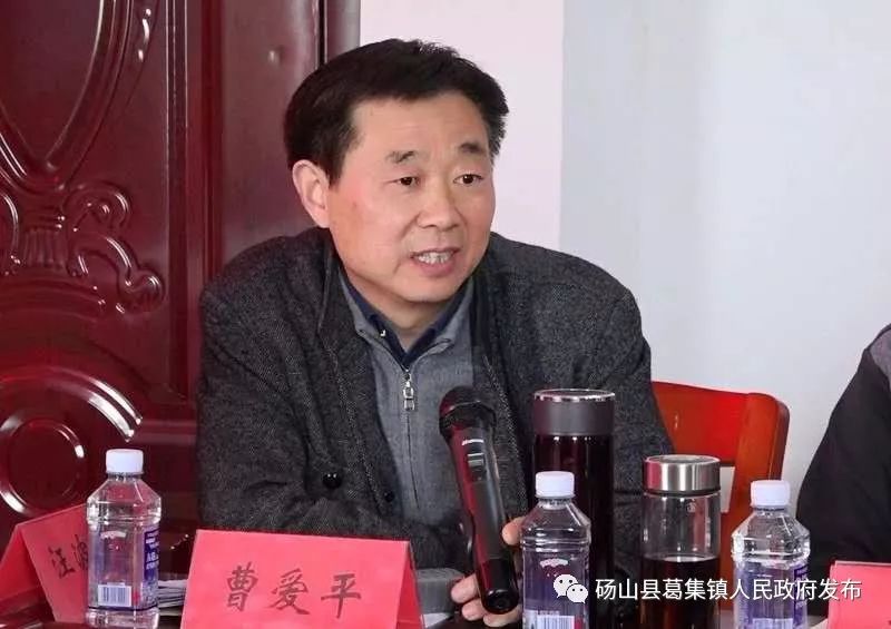 葛集镇:扶贫第一书记"吆喝"油桃电商预售