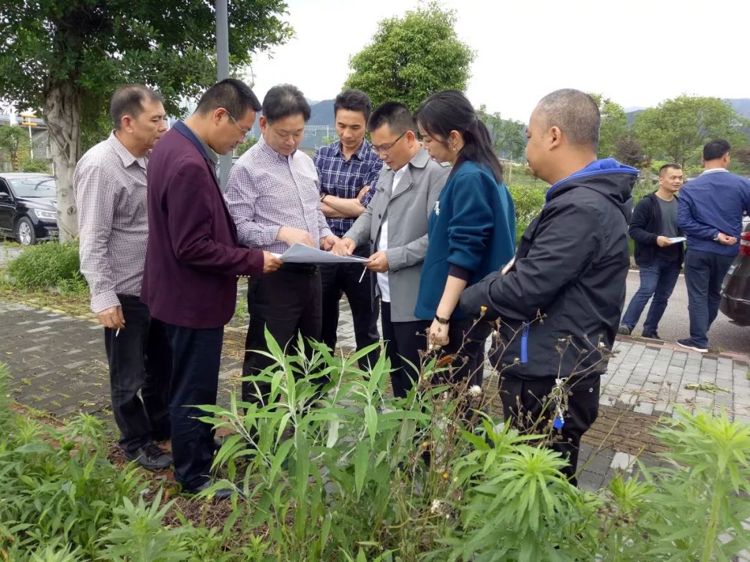 榕江县人民政府侯美彪县长,县人民政府副县长张金城,县政府办,县自然