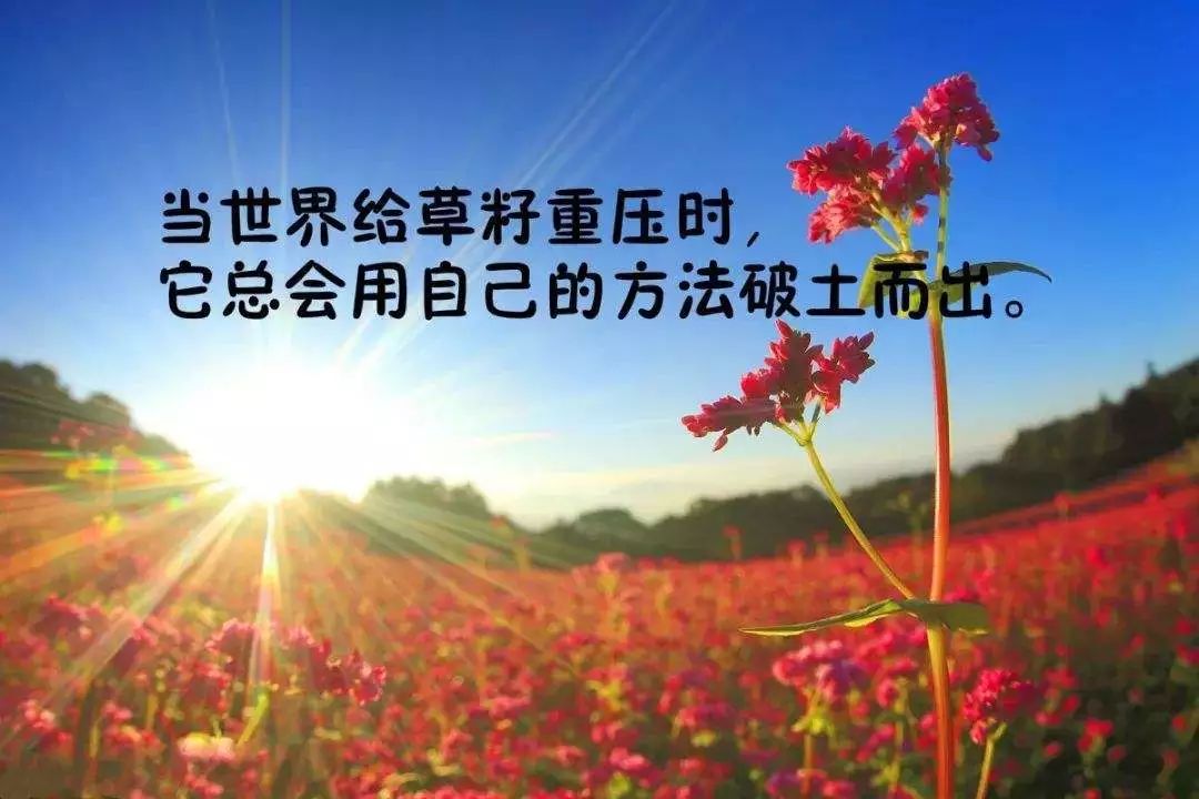 早安正能量励志说说语录 鼓励人向上的句子