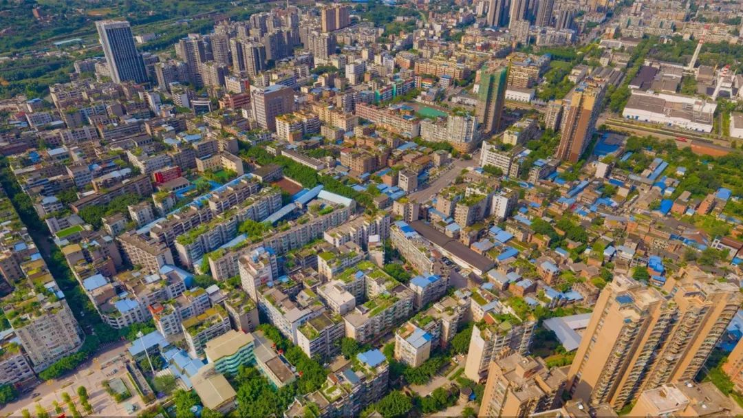 世界那么大为啥偏偏要留在柏溪这些回答看哭了