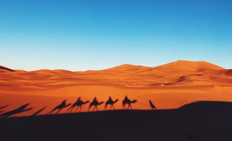 穿越腾格里沙漠路太远景太美去一次震撼一次