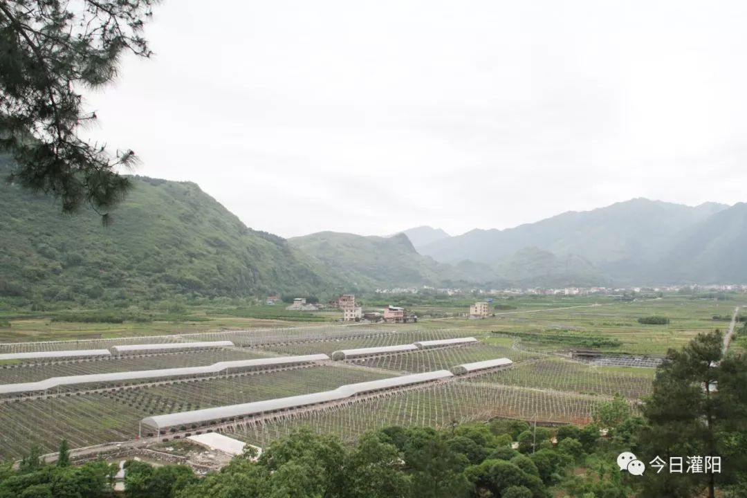 在灌陽縣灌陽鎮排埠江村鴨腳屯,有一片平坦開闊的芳土地.