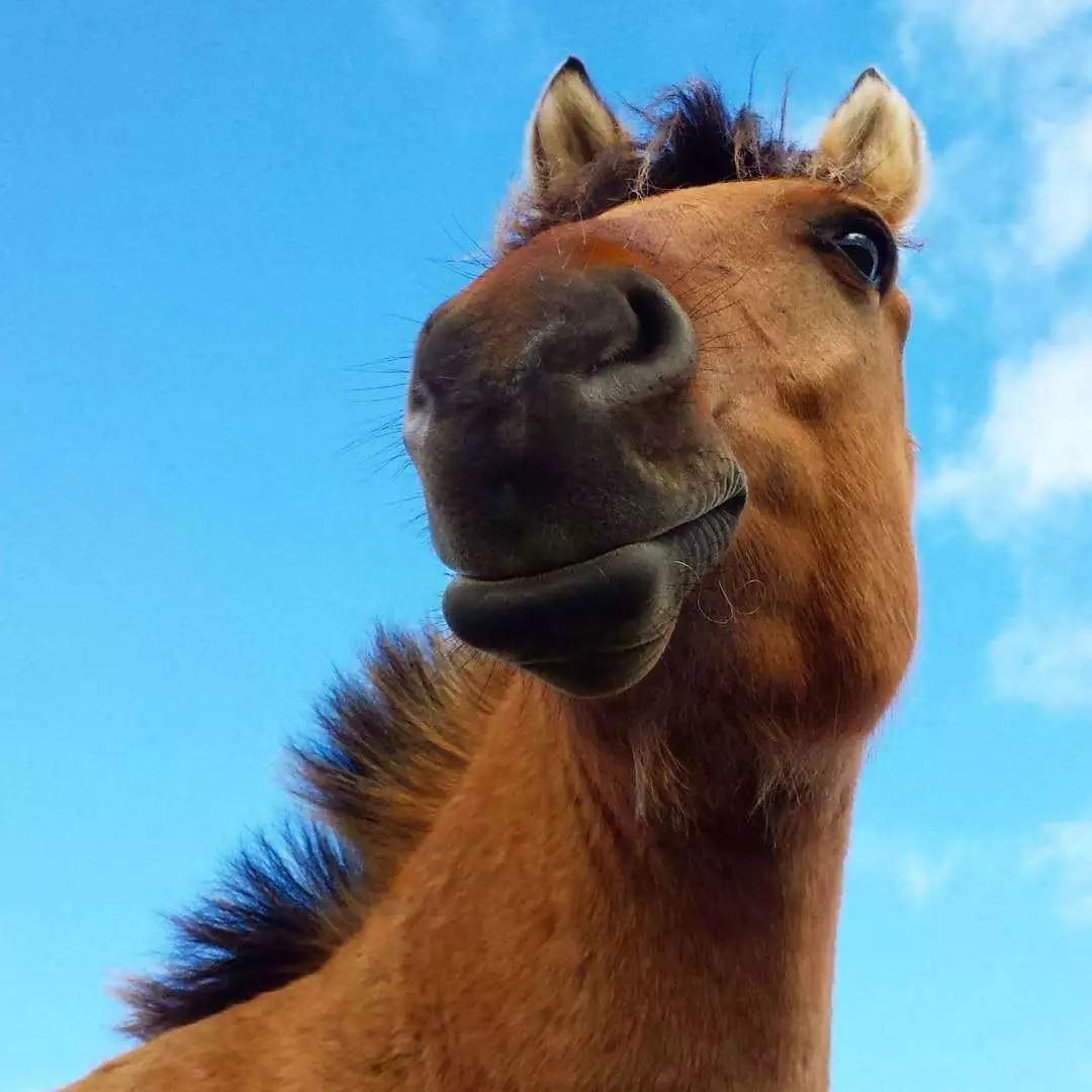 马娱|生活就像镜子 你对别人微笑 别人也会对你微笑