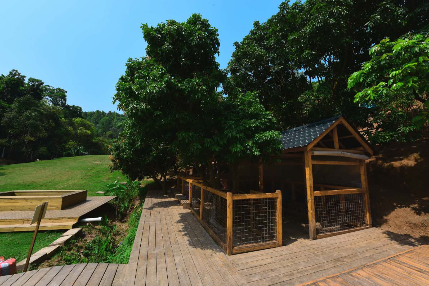 广东最美的山丘农场|深圳1小时生活圈内的阿菠萝小猪农场