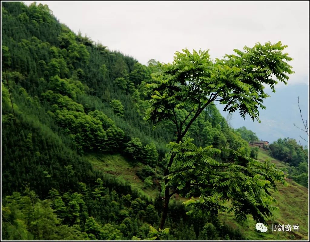 走过广场去雪口山看山