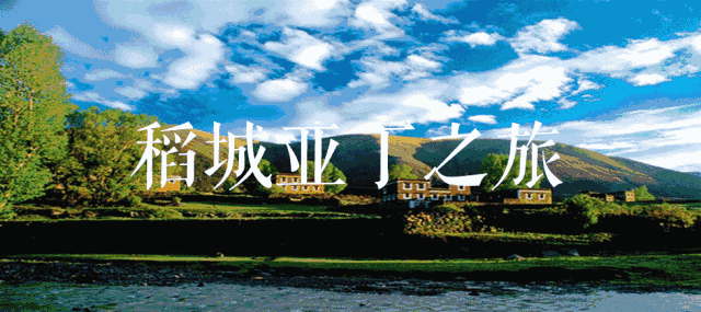 640_285gif 动态图 动图