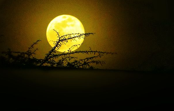 【星连文学社】广西诗人陈熠明:月亮山外山_那一片