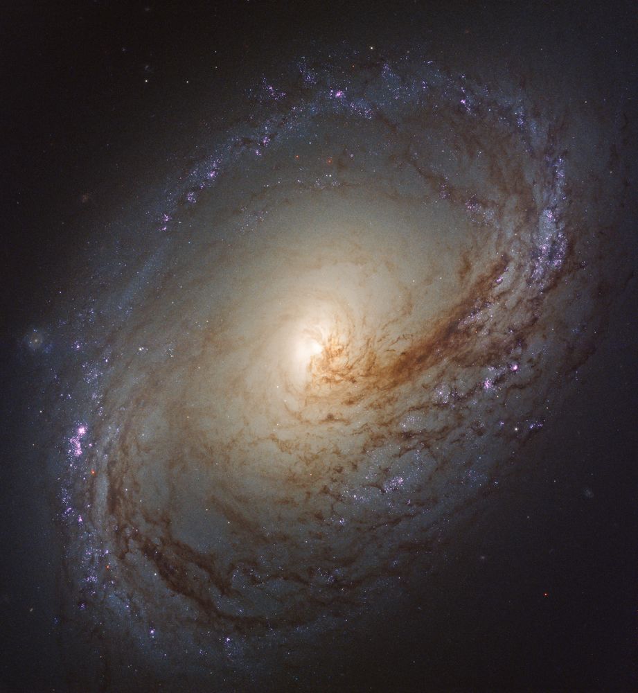 m63星系图片