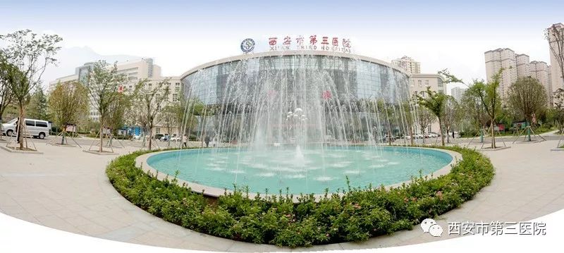 51节里话榜样疼痛的格局