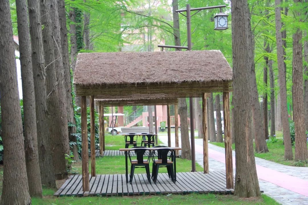 清水潭/她的名片高邮清水潭景区在原马棚度假村的基础上改建而来,现