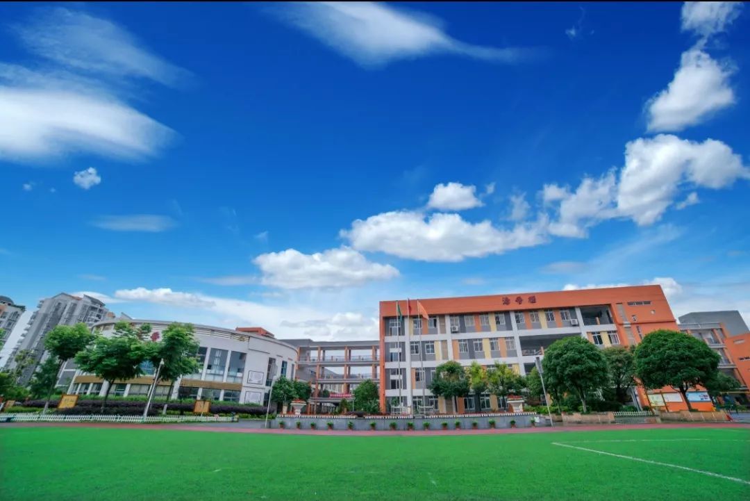 新都区2019年最新小学一年级新生入学指南发布!