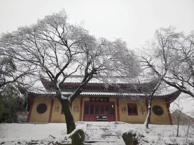 清隐寺之孤傲老梅▏作者韩国强