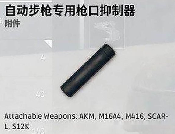 每只枪都分为枪口补偿器,消音器,还有消焰器,当然了这里手枪和喷子除