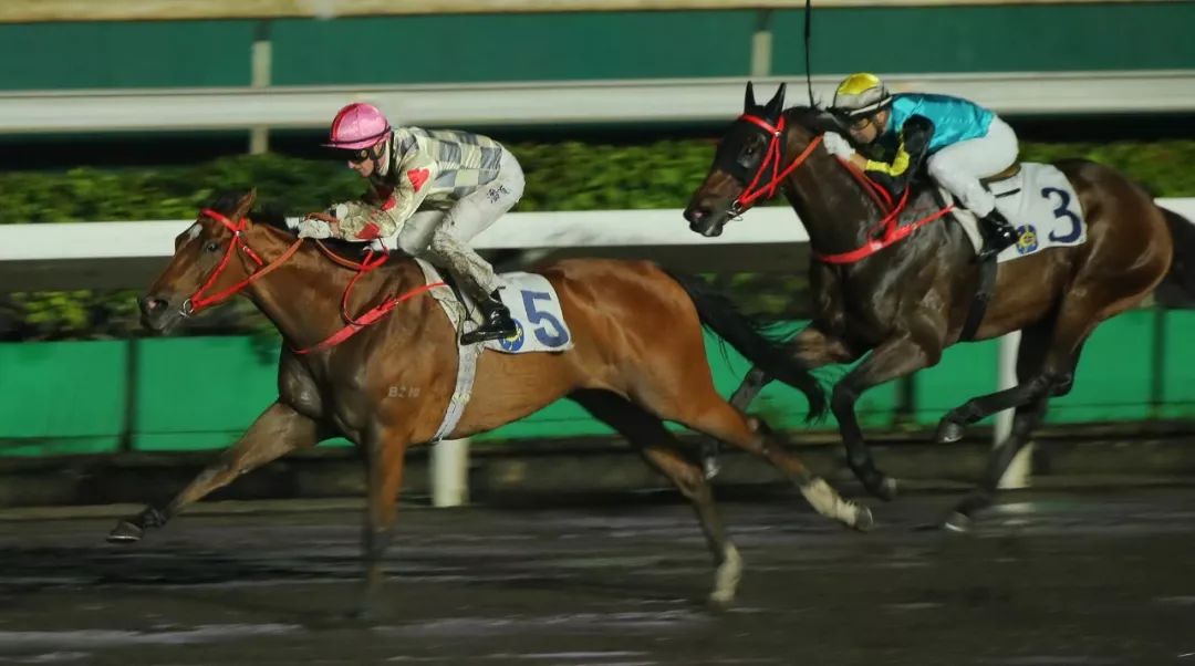 第7场 三班泥地1200米赛事「酷比哥」(骑师:田泰安)田泰安策骑「酷比