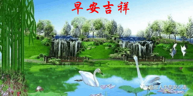 640_320gif 动态图 动图