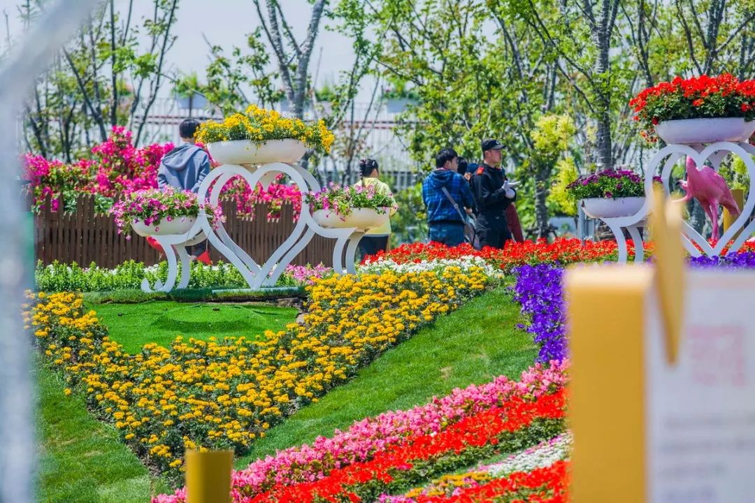 仅此一班5月14日桐乡自组团上海奇迹花园邵稼楼一日游