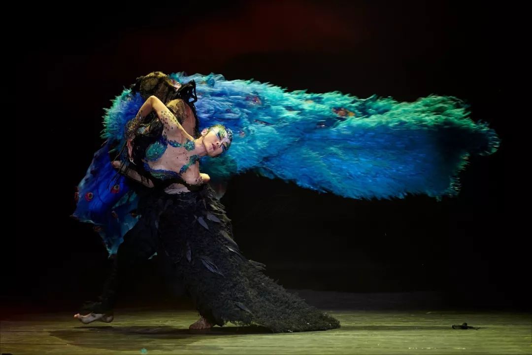 美图欣赏杨丽萍舞剧孔雀丨高清大图来袭珍藏