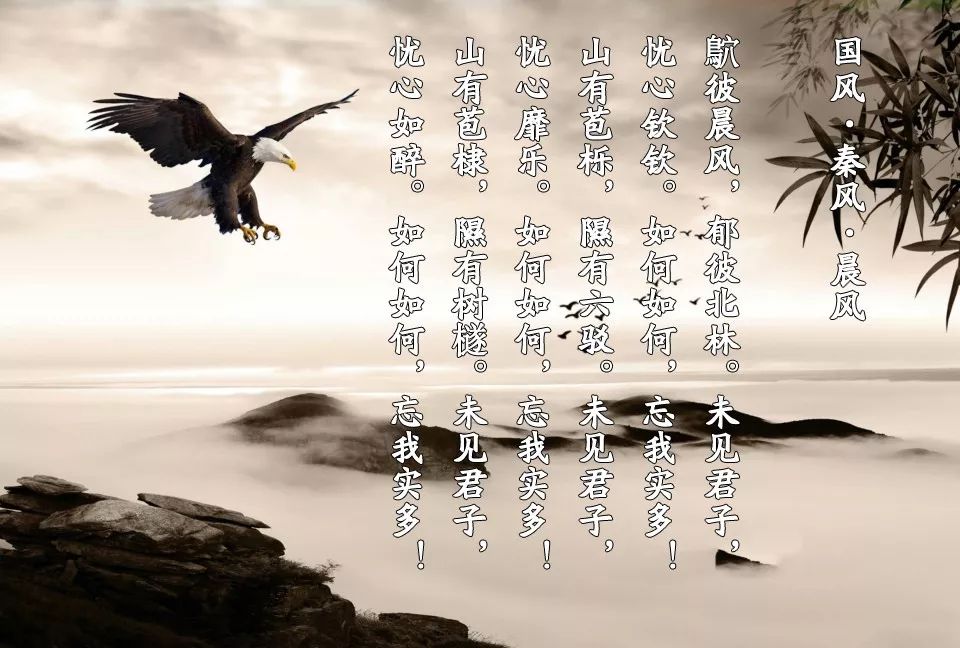 国风·秦风·晨风鴥彼晨风,郁彼北林.未见君子,忧心钦钦.