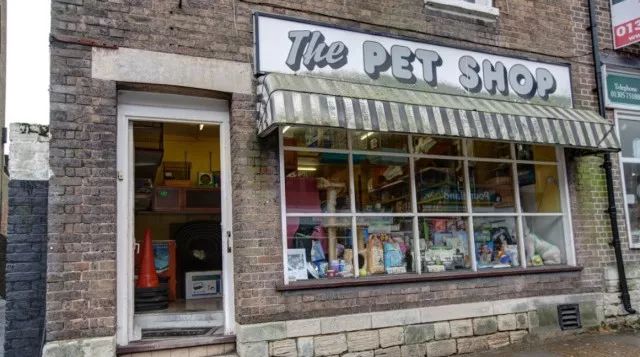 吸引顾客的宠物店门头是如何设计出来的宠物店门头设计赏析