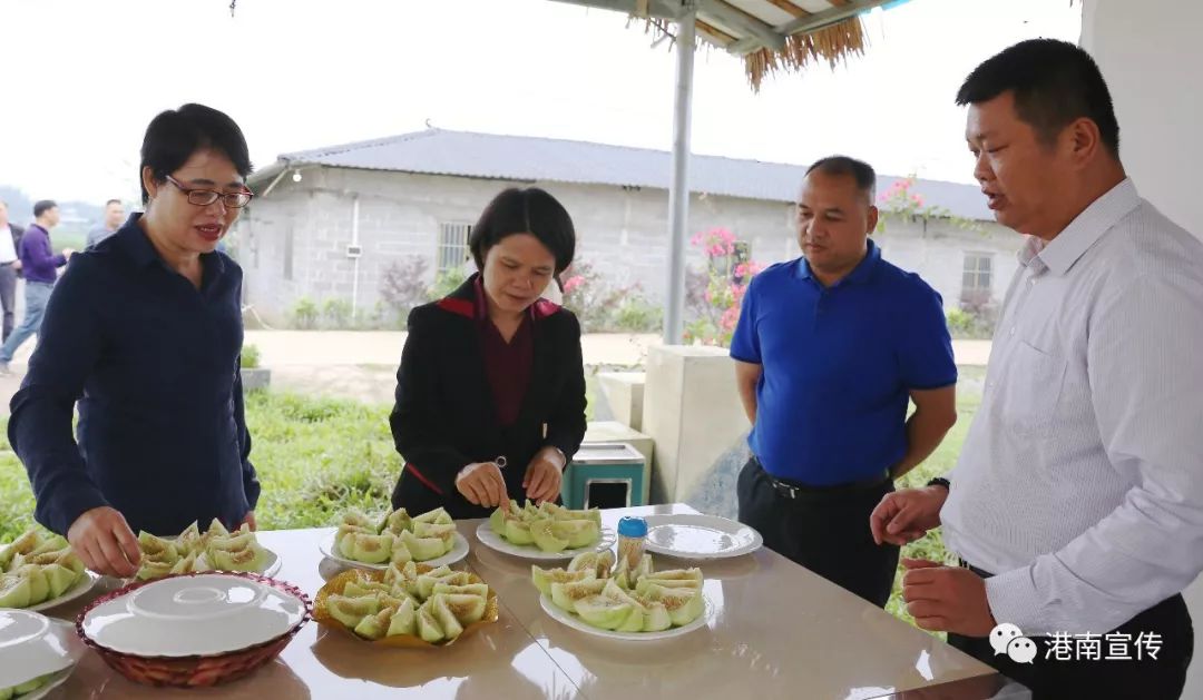 农卓松(左二)到新塘镇万福村佳润水果种植合作社调研