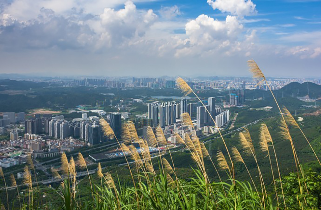 在深圳何必常去梧桐山更值得来塘朗山公园登顶一览蔚蓝大海