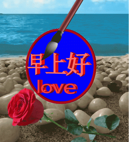 453_500gif 动态图 动图