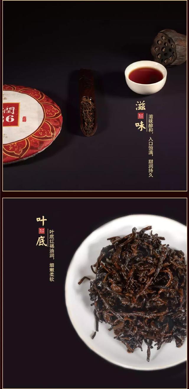 龙润茶826熟茶主打产品时代的匠心之作
