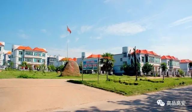 高安最新各乡镇街道成绩单出炉!第一名竟然是._市财政局