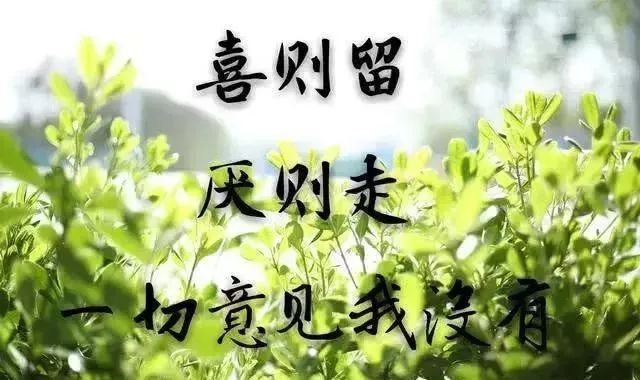 心累心煩的傷感情感語錄,被愛傷透了心的說說!