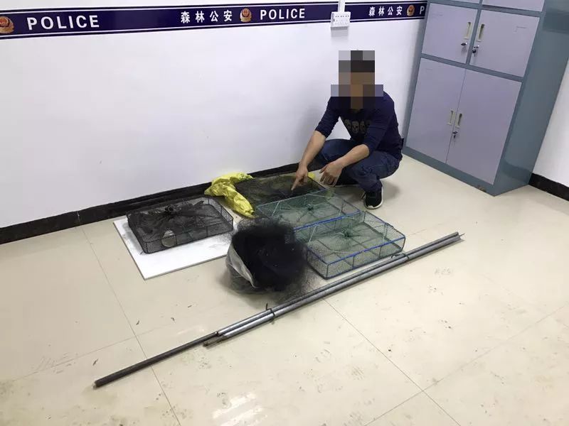 警察蜀黍赶到现场时立即向森林公安报警贺州"朝阳群众"发现此事后将