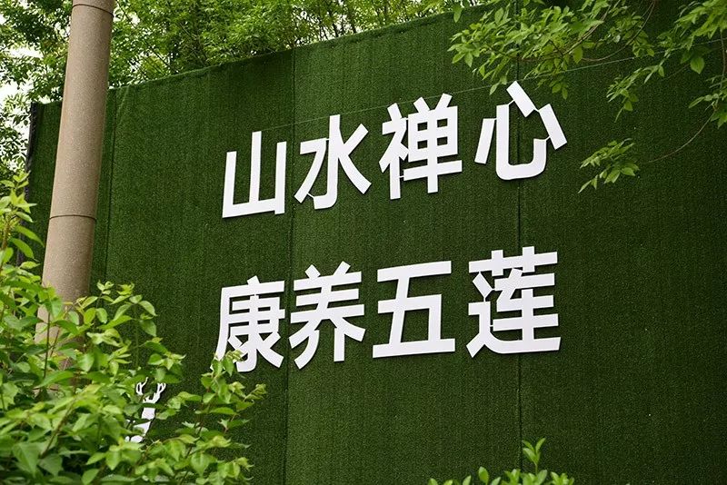 提升城市颜值 建筑围挡"蝶变"亮丽风景线