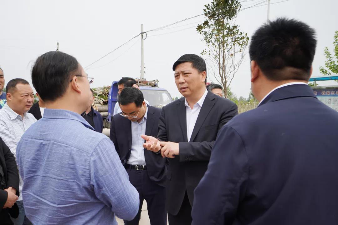 区委副书记魏少峰,区政府副区长王辉带队到建安区河街乡北岸村,椹涧乡