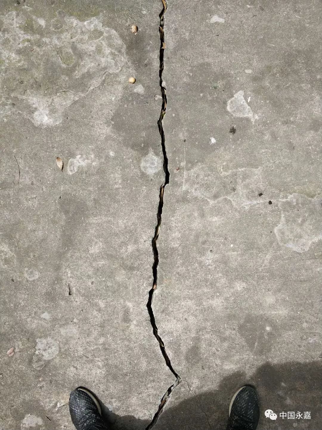 咋回事永嘉这里的房子多处开裂手指都能塞进裂缝