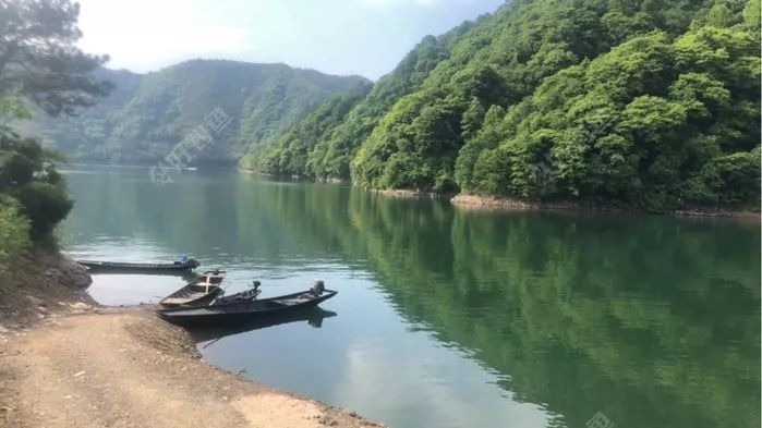 太平湖探钓黄尾简直就是世外桃源