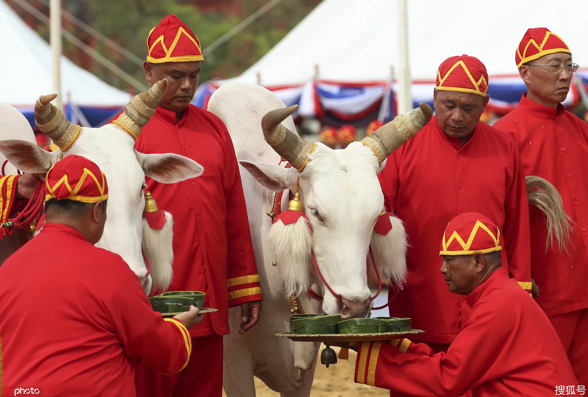泰国新王后亮相一年一度春耕节大典 祈祷风调雨顺