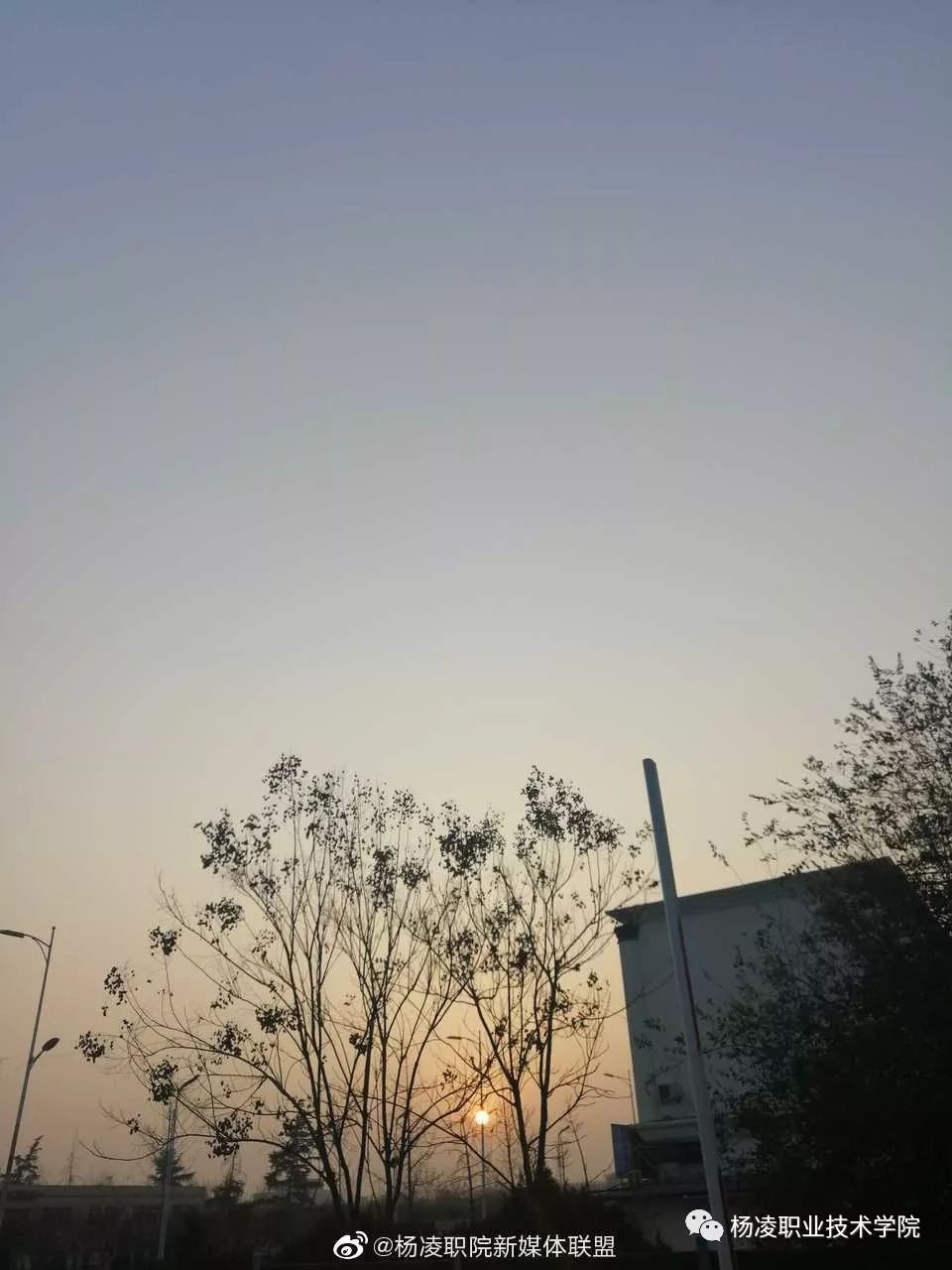 晓夏初立|来自杨职院的"风云变幻"