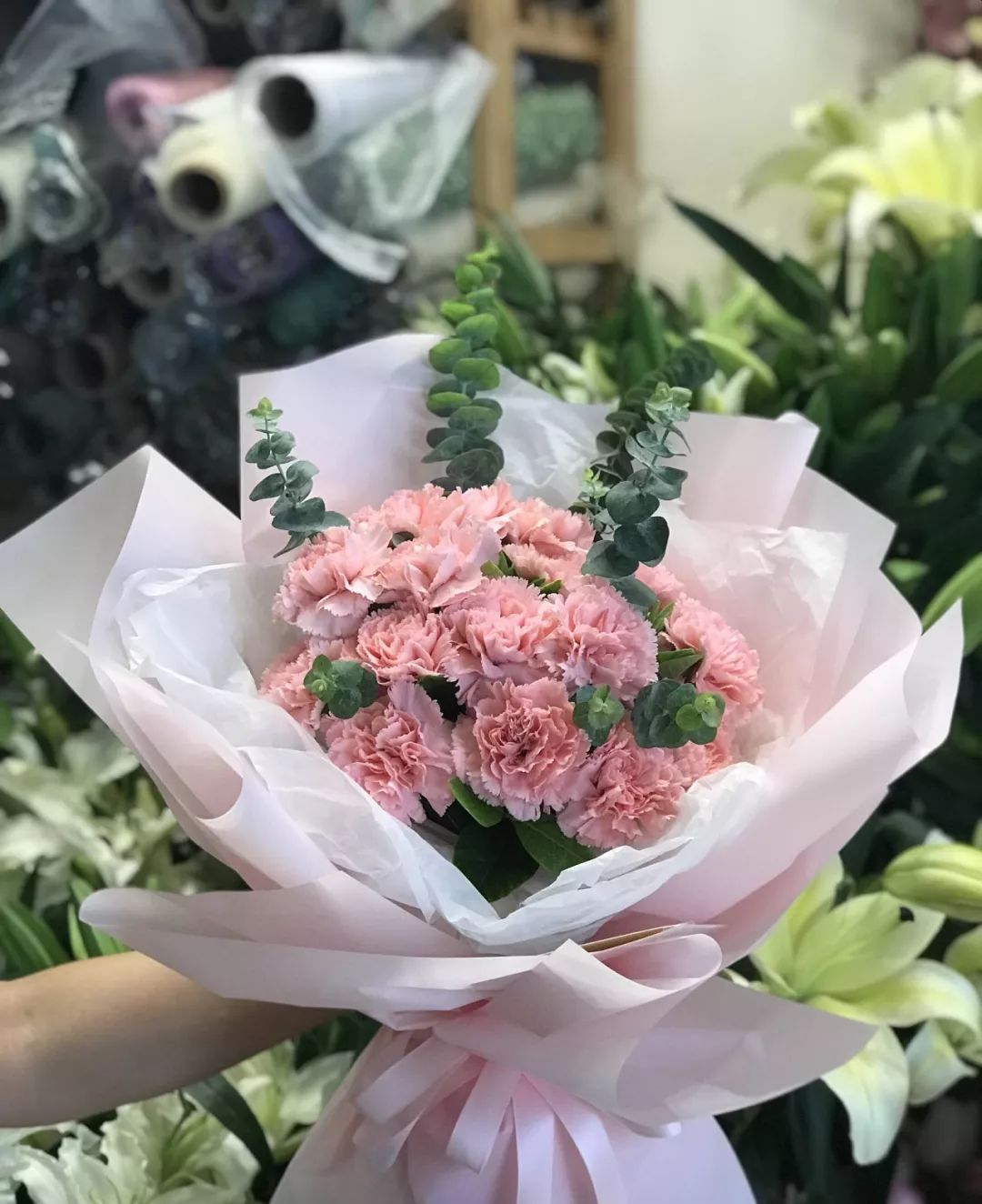 康乃馨相伴母亲节,今年栽下一盆,明年让母亲收到你亲手种的温馨